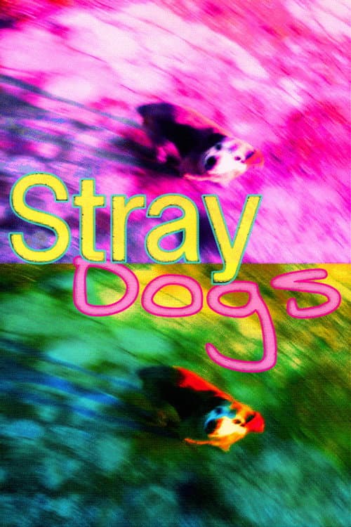 Stray Dogs