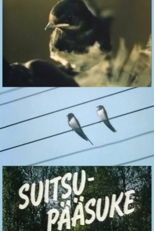 Village Swallow