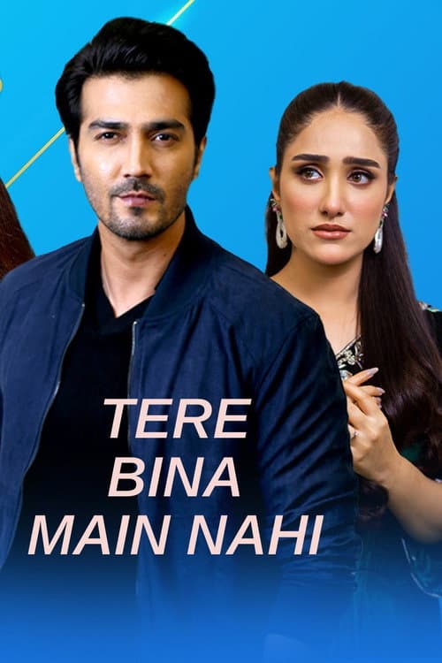 Tere Bina Mein Nahi