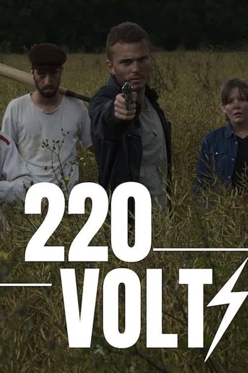 220 VOLTS