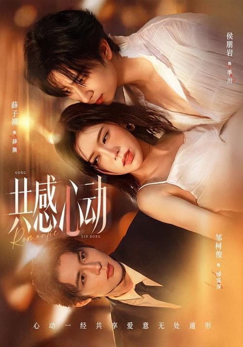 共感心动