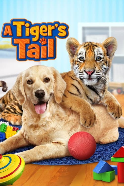 A Tiger's Tail