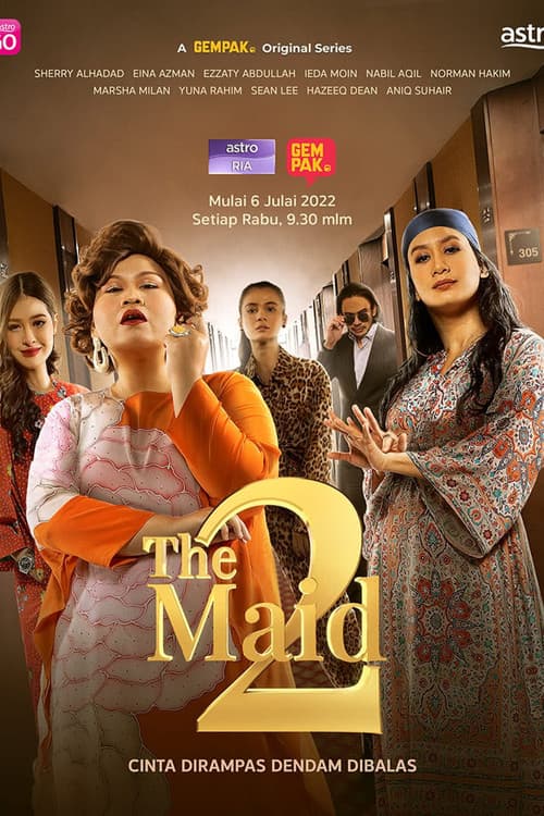 Sinopsis The Maid 2
