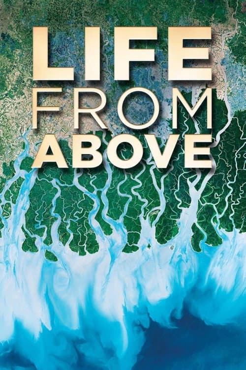 Life From Above