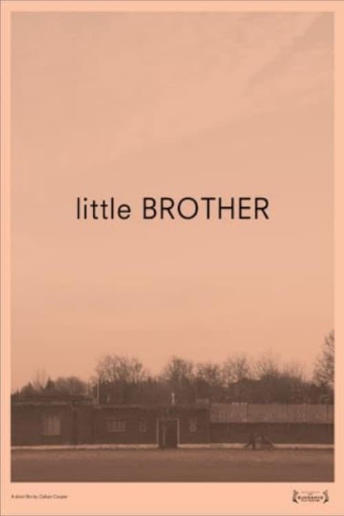 Little Brother