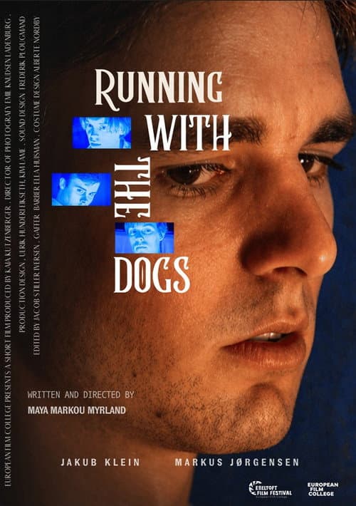 Running With The Dogs
