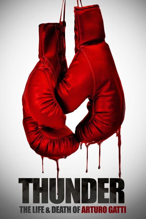 Thunder: The Life and Death of Arturo Gatti