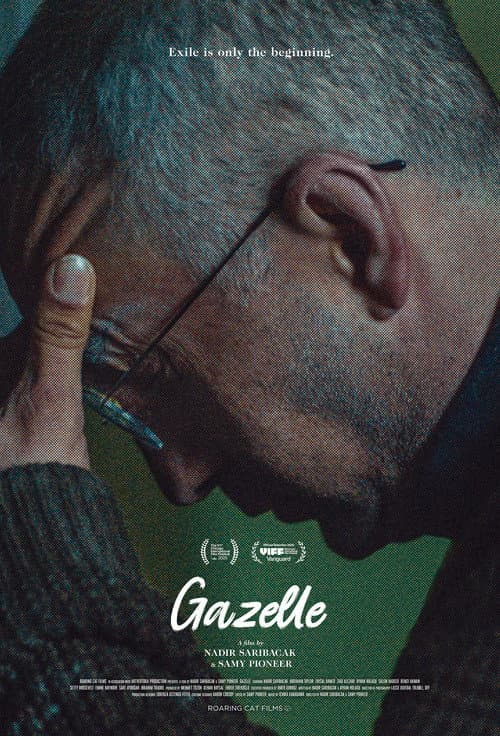 Gazelle