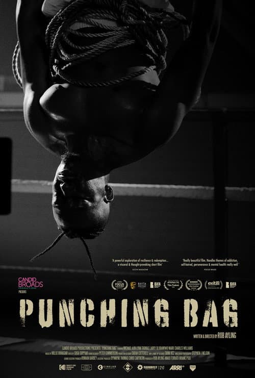 Punching Bag