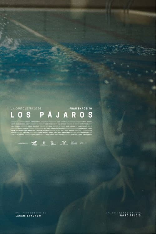 Los pájaros