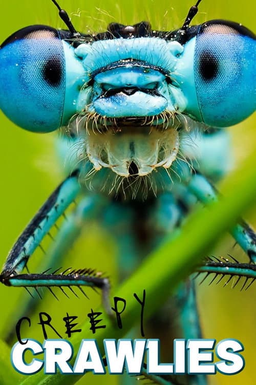 Creepy Crawlies