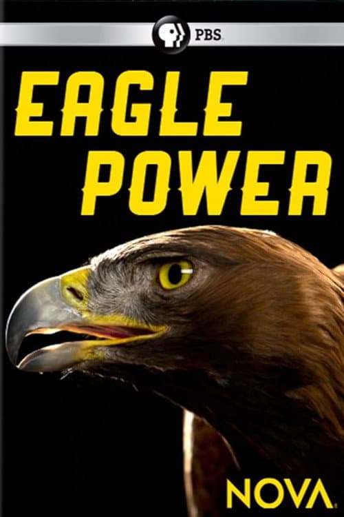 Eagle Power