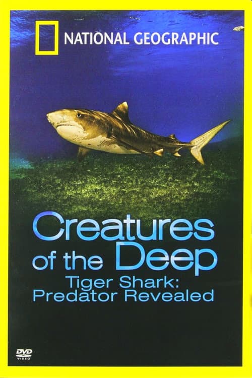 Tiger Shark: Predator Revealed