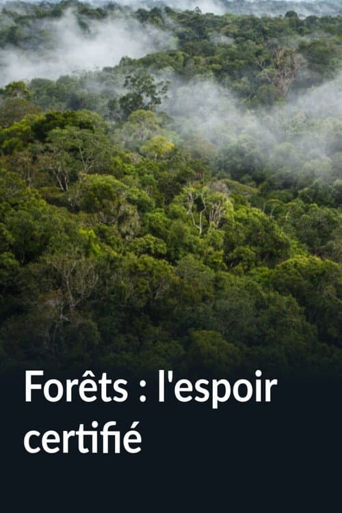 Forêts : l'espoir certifié