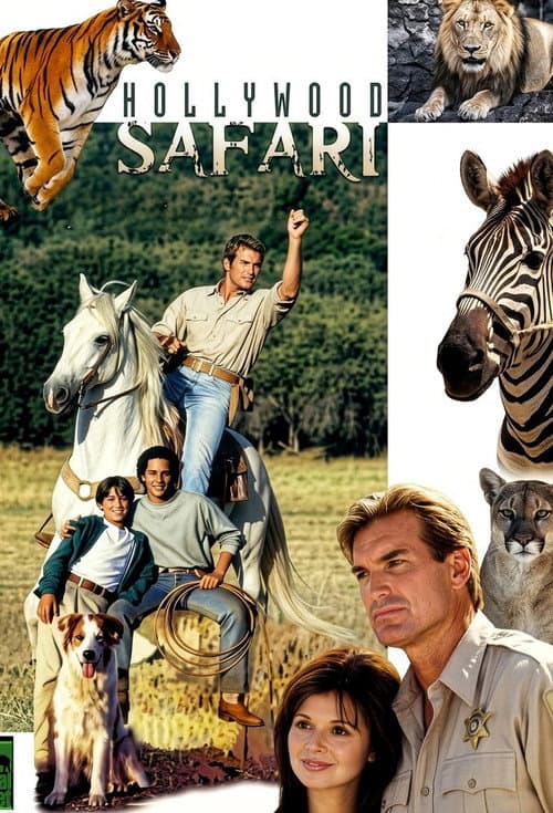 Hollywood Safari