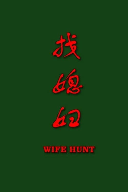 找媳妇