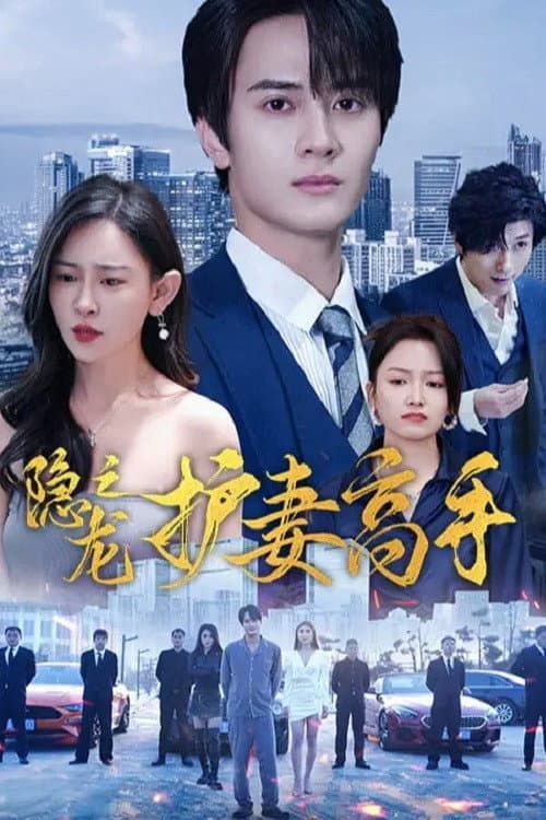 隐龙之护妻高手