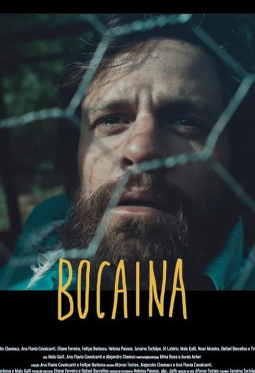 Bocaína