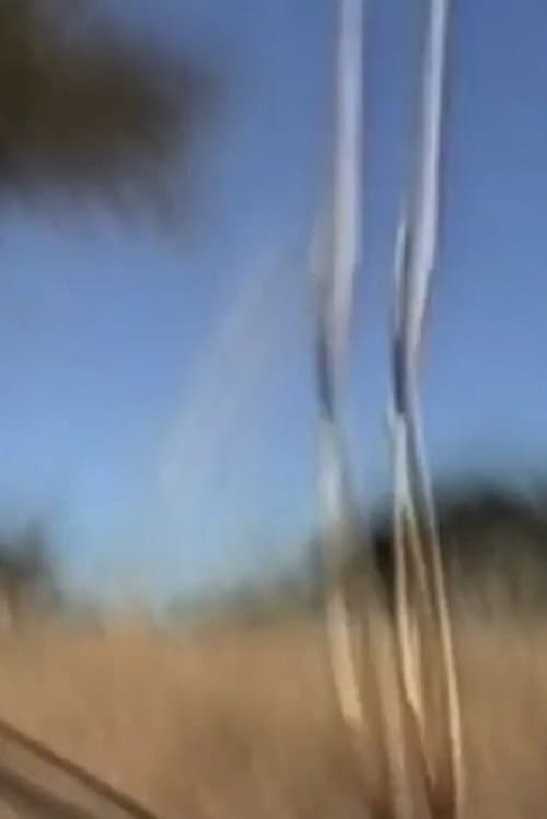Mount Magnet