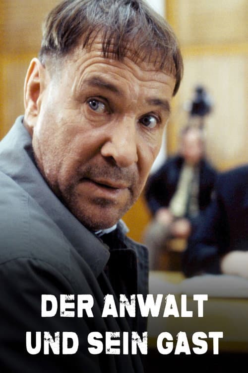 Der Anwalt und sein Gast