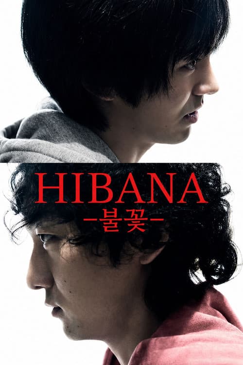 Hibana: Spark