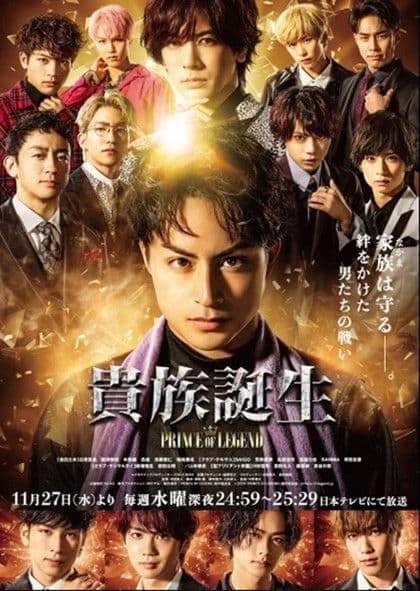 Aristocratic Birth -PRINCE OF LEGEND-