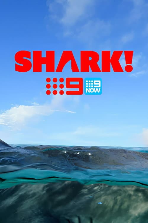 Shark!