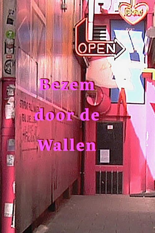Bezem door de wallen