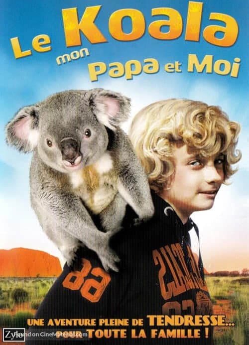 Ein Koala-Bär allein zu Haus