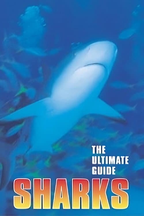 The Ultimate Guide: Sharks