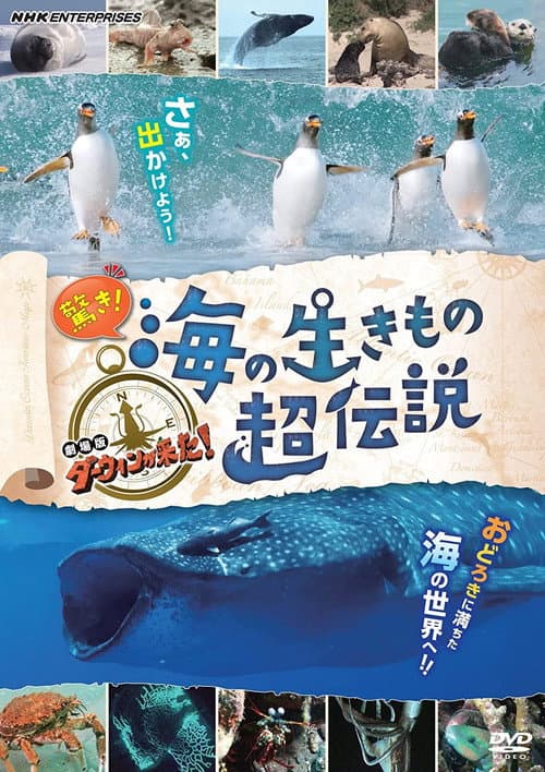 驚き!海の生きもの超伝説 劇場版ダーウィンが来た!