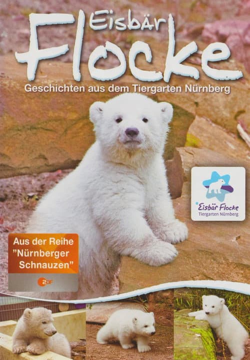 Eisbär Flocke - Geschichten aus dem Tiergarten Nürnberg