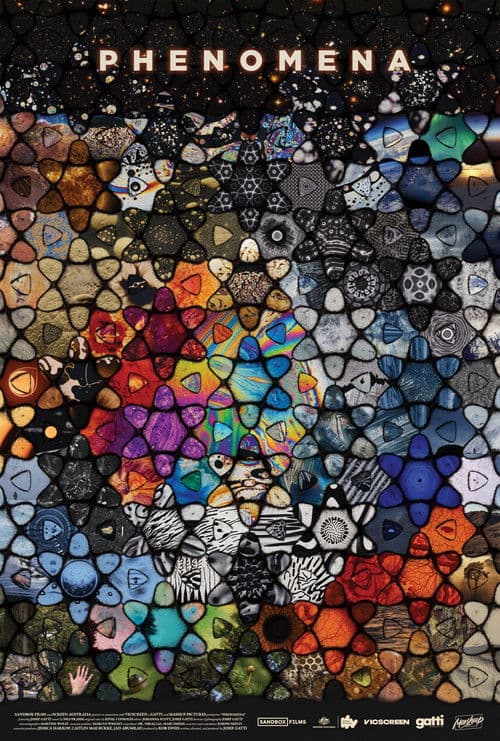 Phenomena