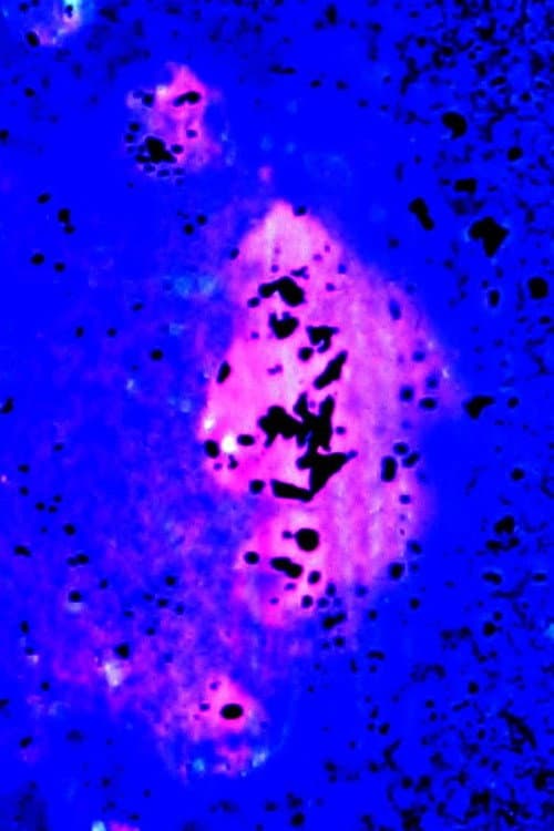Aura