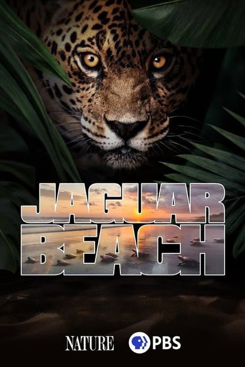 Jaguar Beach‎