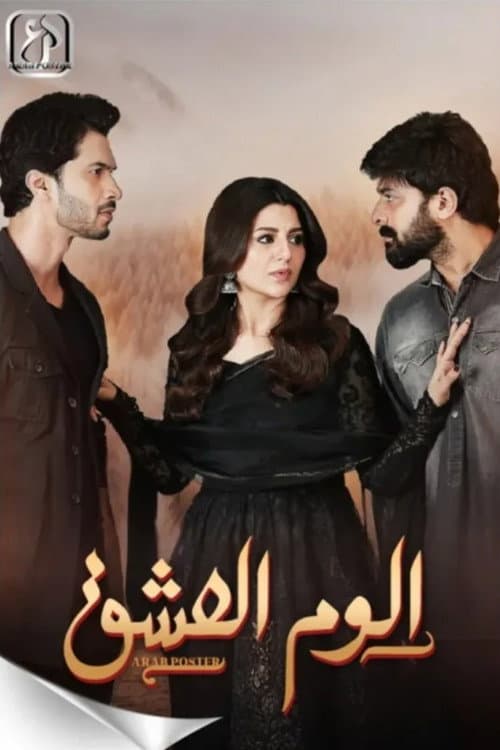 ilzam-e-ishq