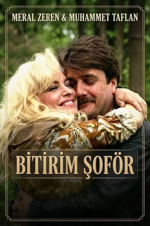 Bitirim Şoför