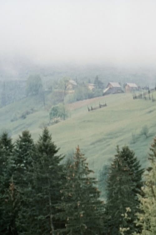 I See You, Bukovina