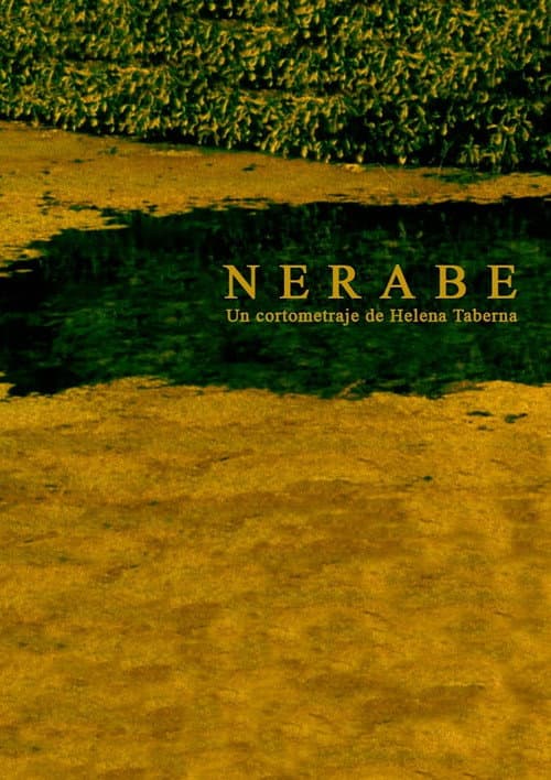Nerabe