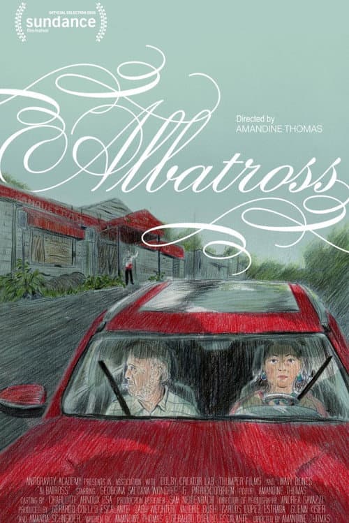 Albatross