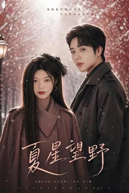 夏星望野