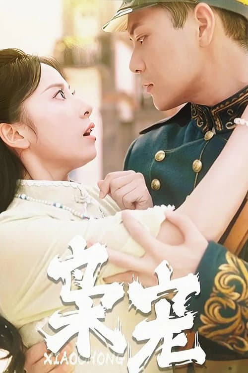 枭宠