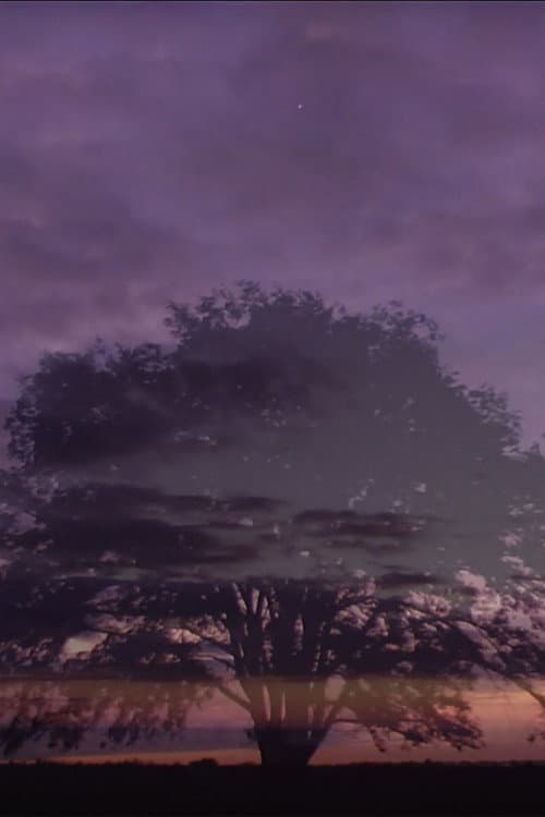 Astronomy of Love