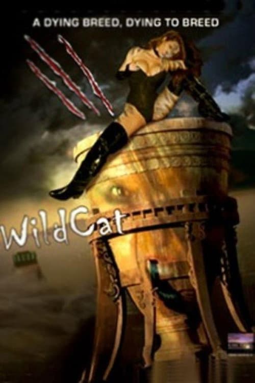WildCat