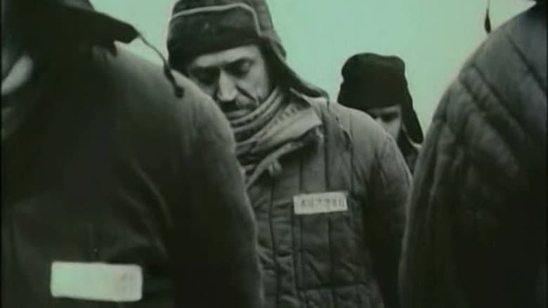 Faithful Ruslan: History of the Guard Dog