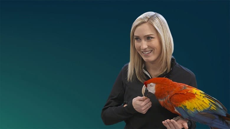 Secrets of the Zoo: Keeper Tales