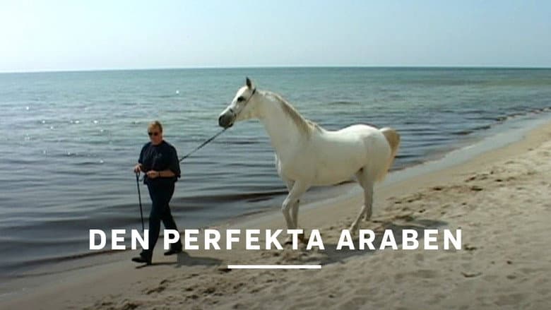 Den perfekta araben