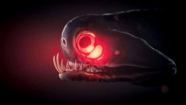 Monsters of the Deep