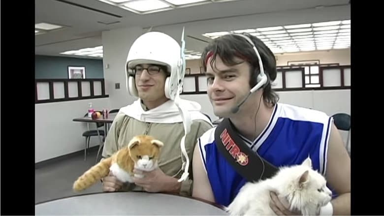 Laser Cats!