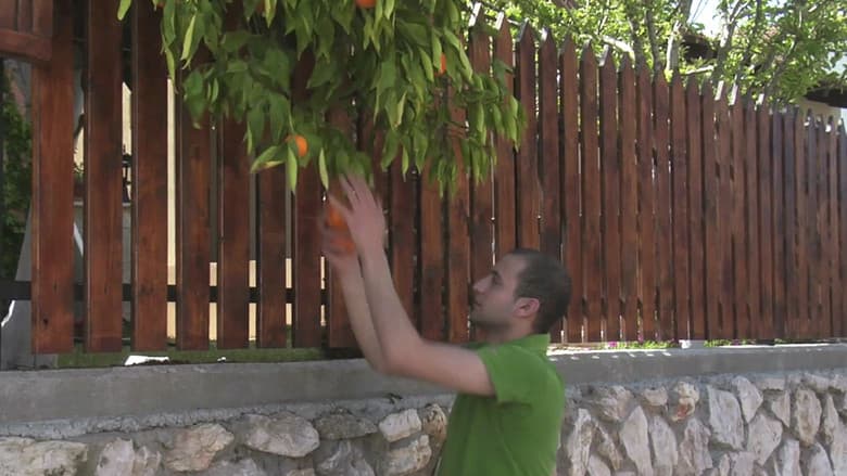 Oranges